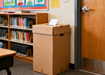 Sistema del TSE permite seguimiento en vivo del proceso electoral