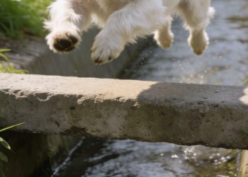 Acribillado en Entre Ríos murió por graves lesiones internas, revela autopsia