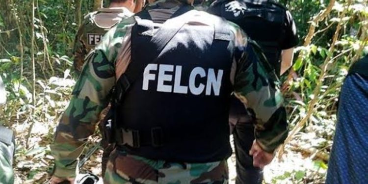 Refuerzan controles internos en unidad antidroga tras caso de alto impacto