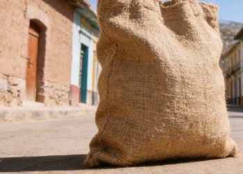 Autoridades intensifican vigilancia epidemiológica en el Chaco