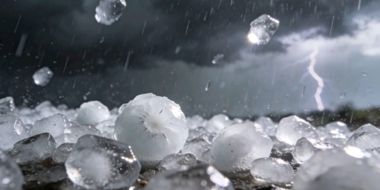 Control antidrogas detecta cocaína en transporte público