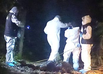 Víctima hallada carbonizada sufrió 20 puñaladas antes de ser decapitada, era cantante