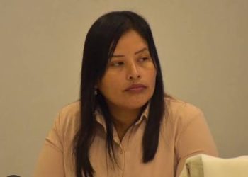 Celedonia Cruz Ayma es señalada por presiones dentro del TSE para forzar cambios políticos