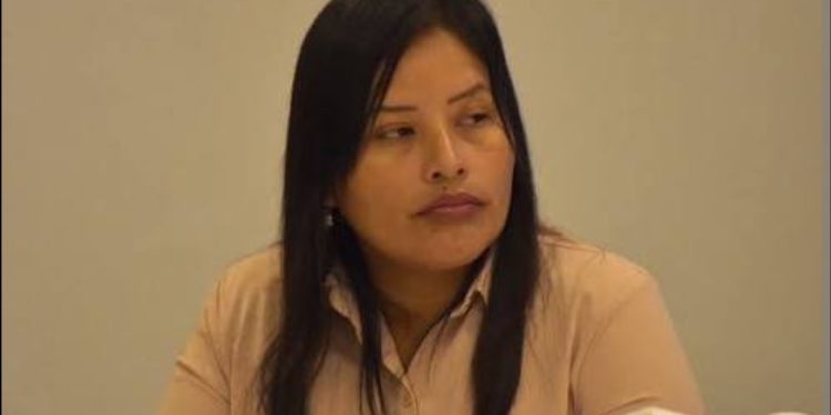 Celedonia Cruz Ayma es señalada por presiones dentro del TSE para forzar cambios políticos
