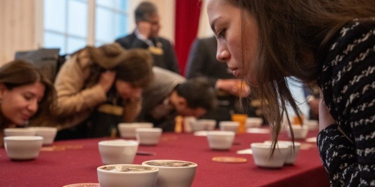«Del café de altura a las mesas del mundo: Bolivia busca convertir su calidad en economía global».